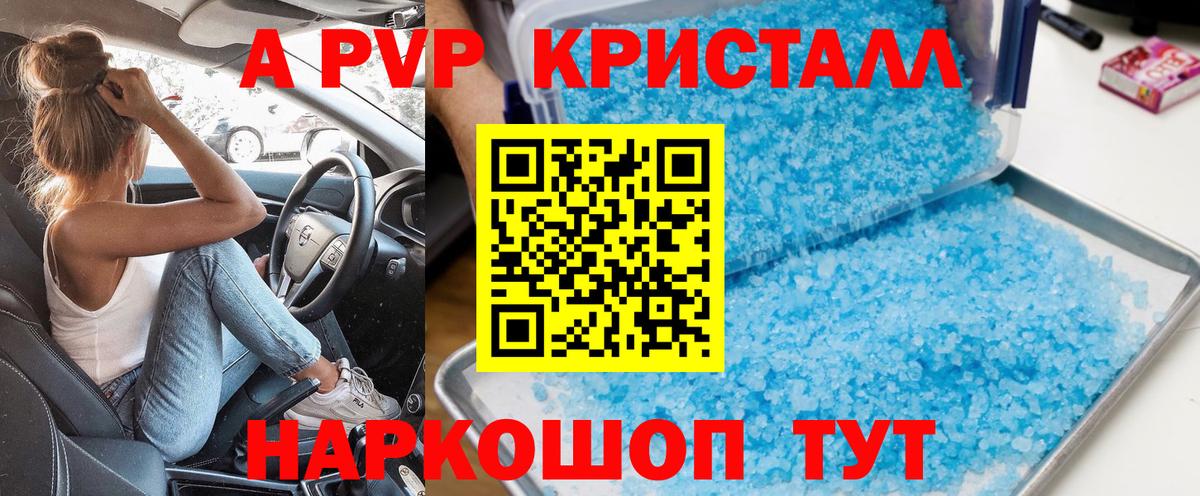 A-PVP СК КРИС Урус-Мартан