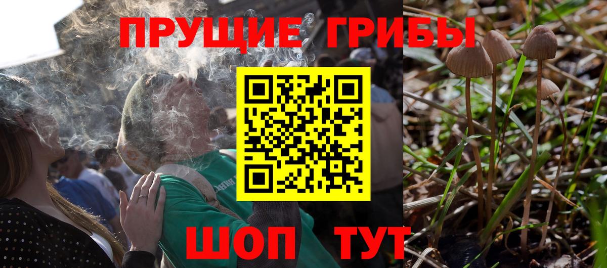 цены   Вход с VPN  Урус-Мартан  Галлюциногенные грибы мицелий 